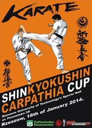 Open Carpathia Shinkyokushin Cup 2014